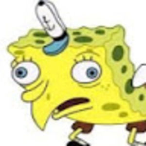 Meet your Posher, Elsie